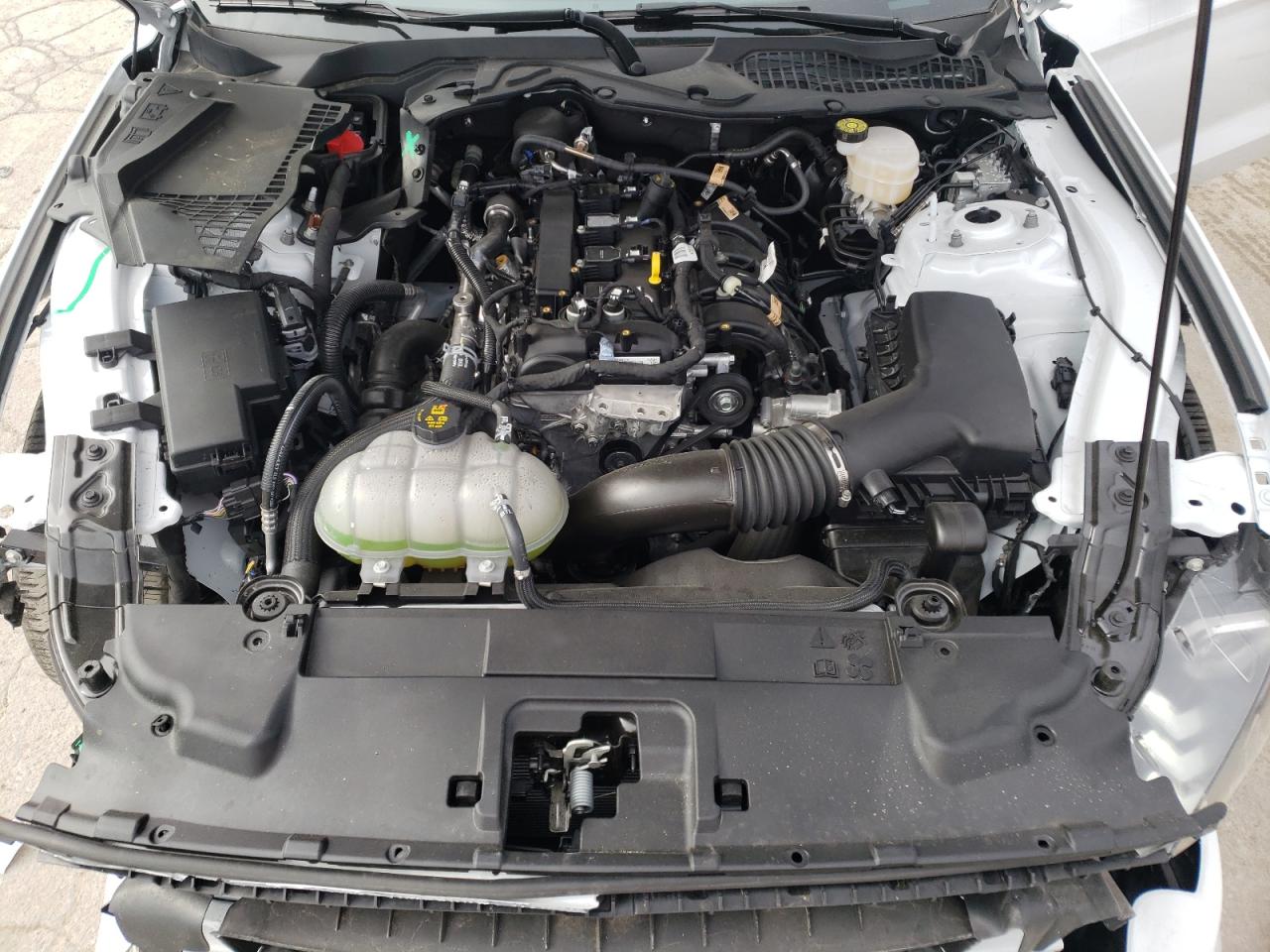 Photo 7 from auction – 2021 FORD MUSTANG with VIN 1FA6P8TH9M5138639
