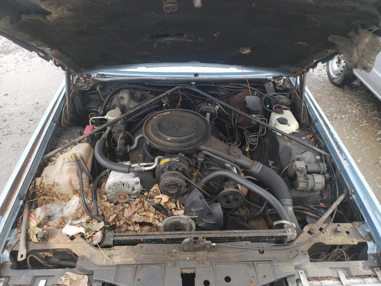 Photo 7 from auction – 1985 CADILLAC ELDORADO with VIN 1G6EL5789FE634377