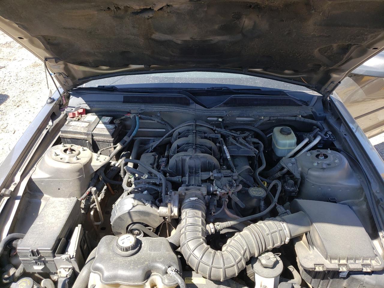 Photo 7 from auction – 2005 FORD MUSTANG with VIN 1ZVFT80N055116950