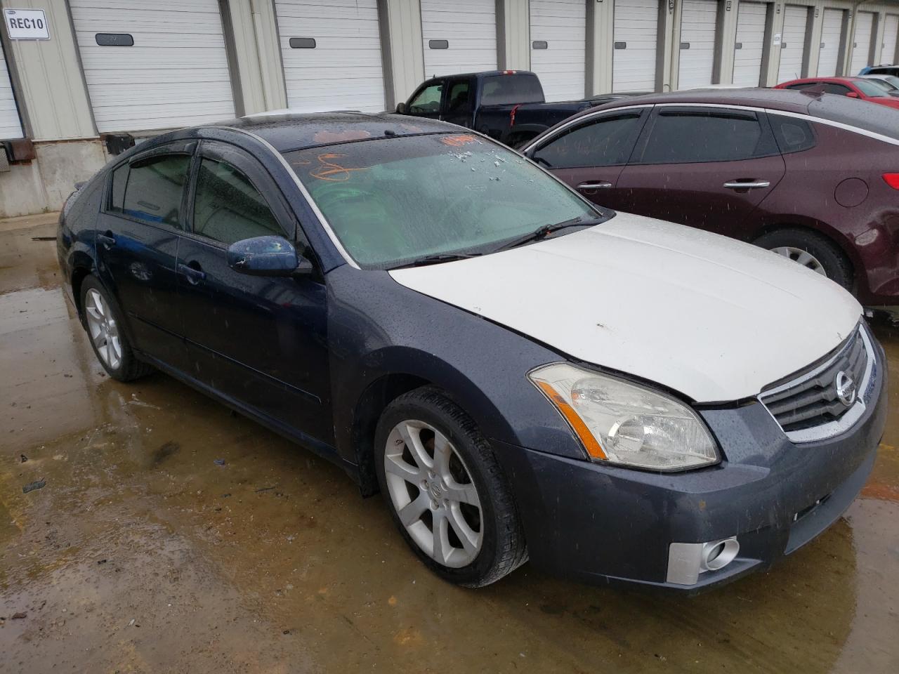 NISSAN MAXIMA SE 2007 مع رقم تعريف المركبة 1N4BA41E77C819125 - صورة من المزاد