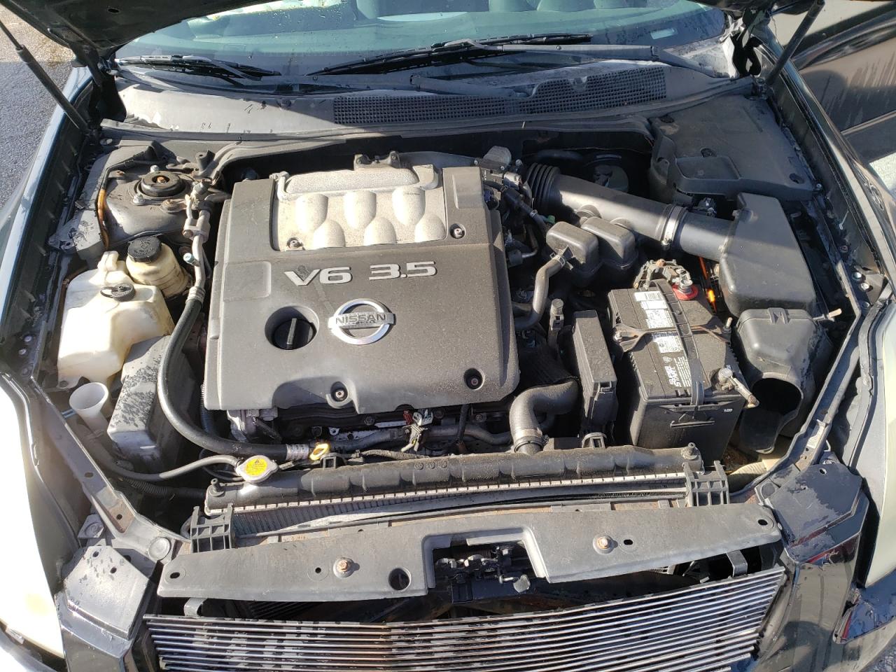 Photo 7 from auction – 2005 NISSAN MAXIMA SE with VIN 1N4BA41E35C827168
