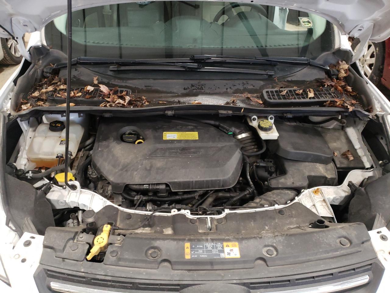 Photo 7 from auction – 2013 FORD ESCAPE SE with VIN 1FMCU0GX8DUD41404