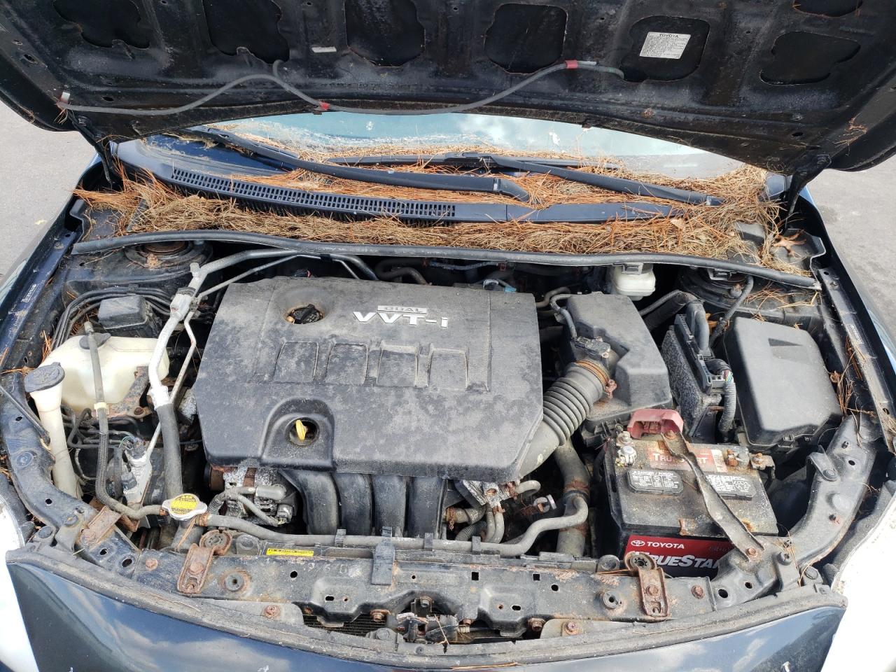 Photo 7 from auction – 2009 TOYOTA COROLLA BA with VIN 2T1BU40E89C142907