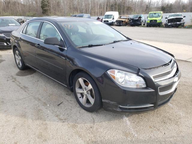 CHEVROLET MALIBU 1LT 2011 with VIN 1G1ZC5E19BF330662 - Photo from auction