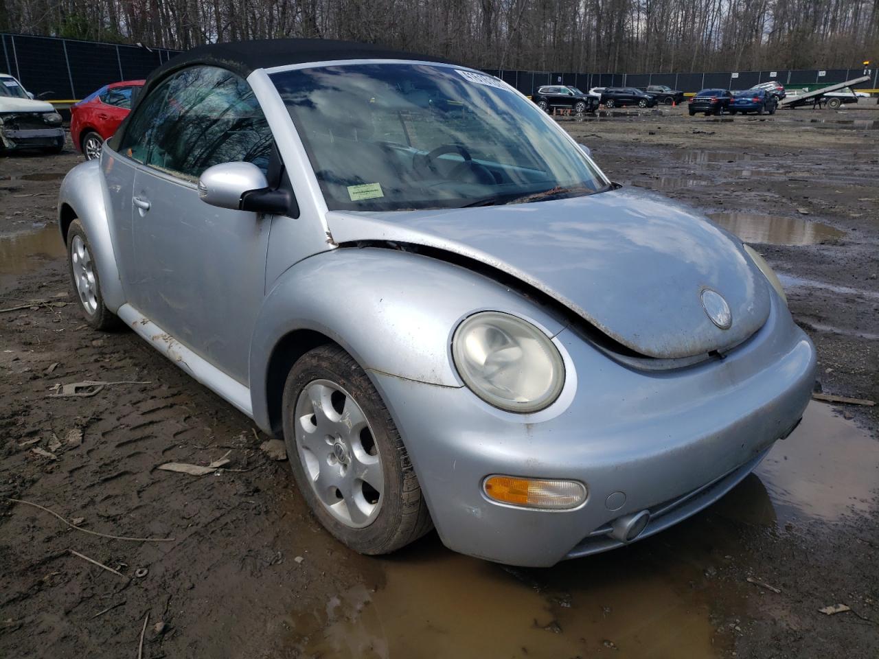 VOLKSWAGEN NEW BEETLE 2003 with VIN 3VWCK21Y03M304273 - Photo from auction
