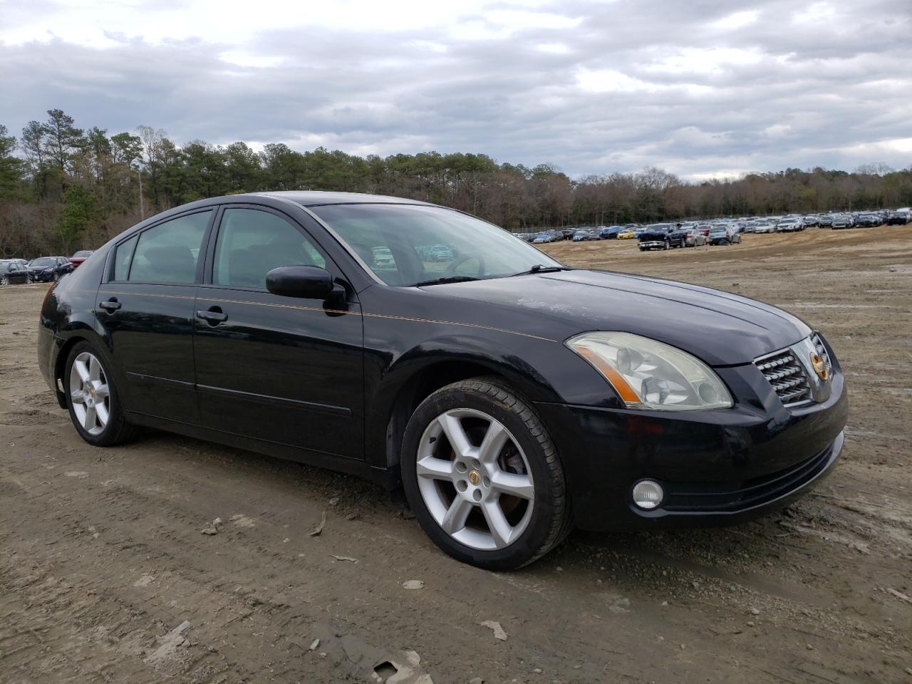 NISSAN MAXIMA SE 2006 with VIN 1N4BA41E26C828586 - Photo from auction