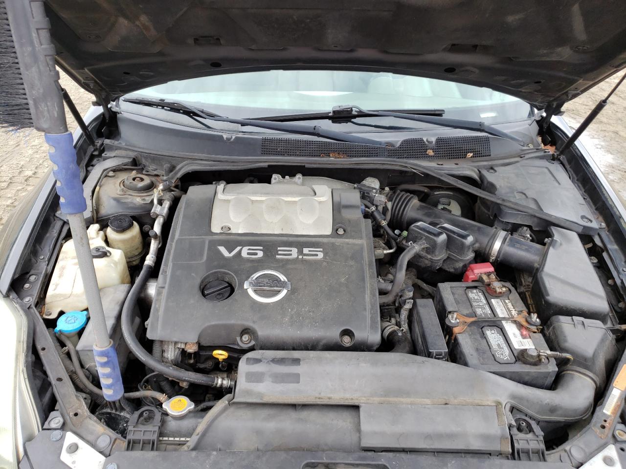 Photo 7 from auction – 2006 NISSAN MAXIMA SE with VIN 1N4BA41E26C828586