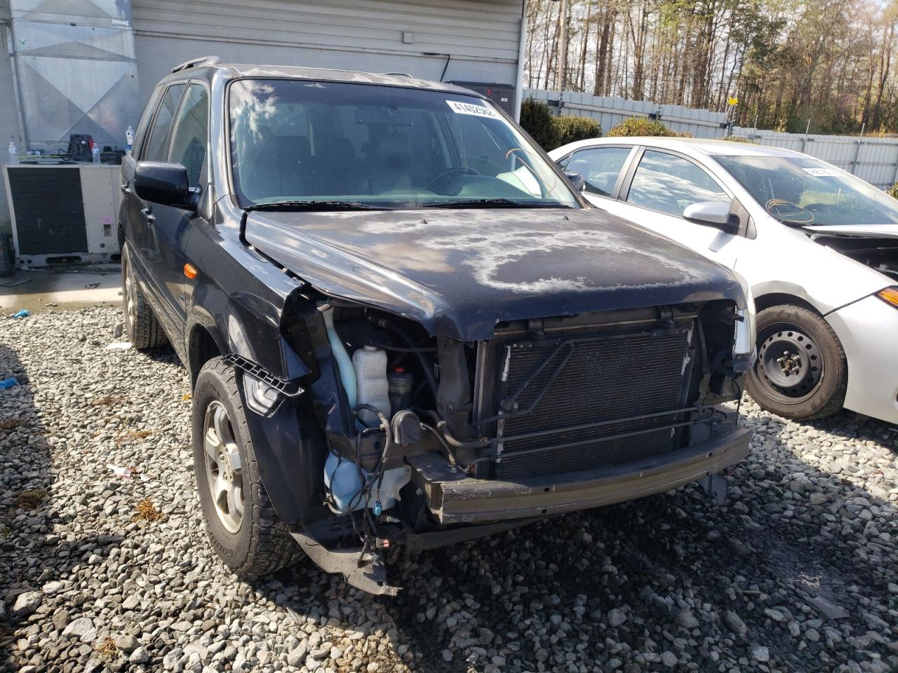 HONDA PILOT EXL 2008 with VIN 5FNYF18588B044414 - Photo from auction