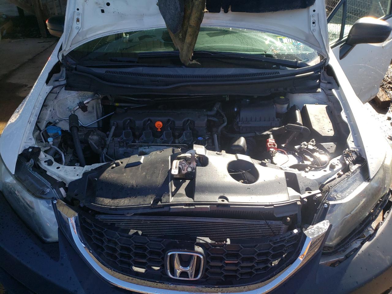 Photo 7 from auction – 2014 HONDA CIVIC LX with VIN 2HGFB2F50EH508198