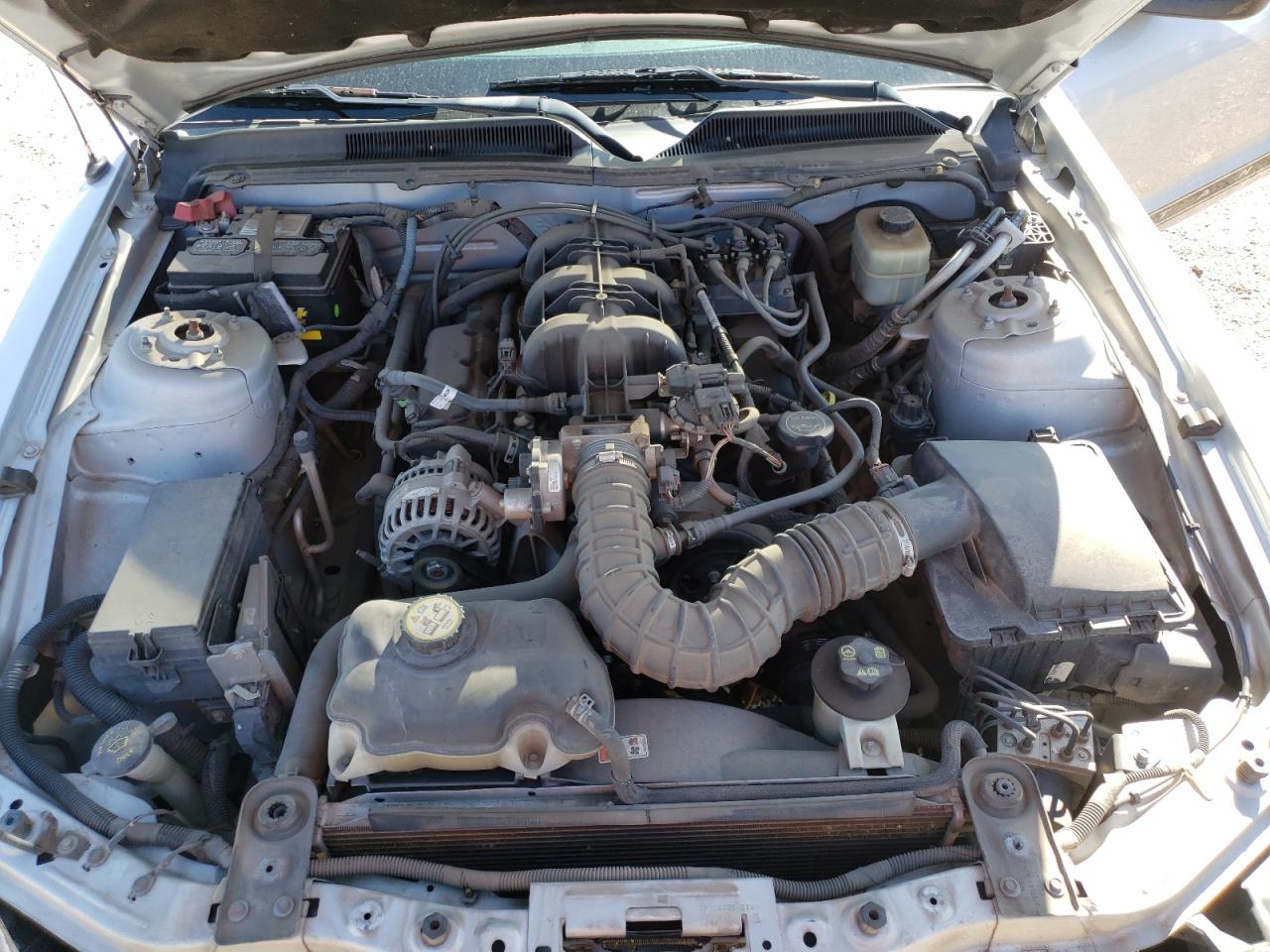 Photo 7 from auction – 2007 FORD MUSTANG with VIN 1ZVFT80N875267215