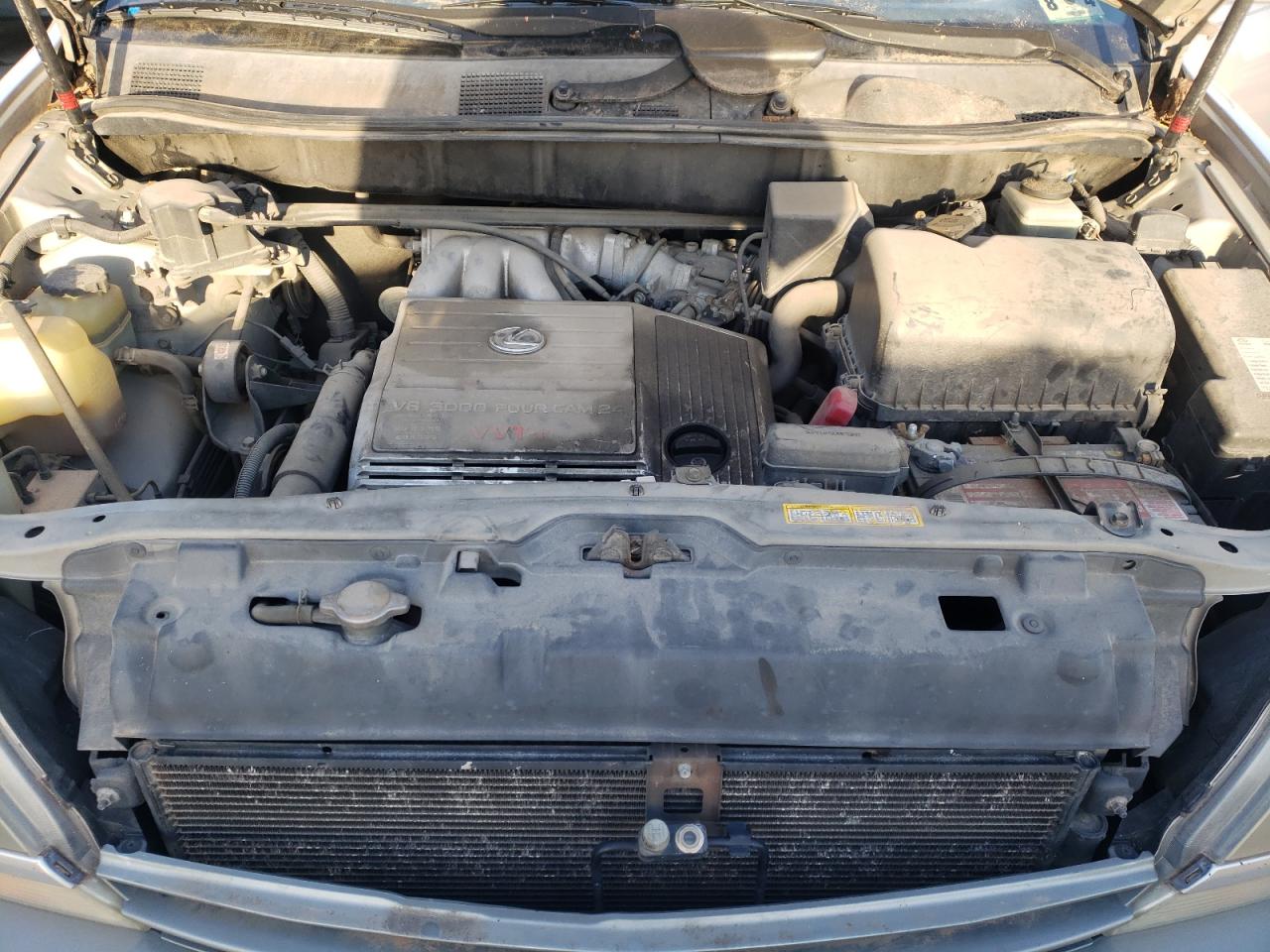 Photo 7 from auction – 1999 LEXUS RX 300 with VIN JT6HF10U5X0033829