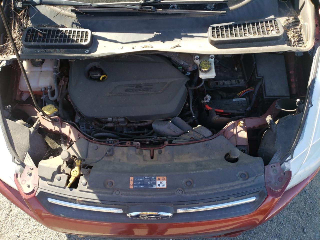 Photo 7 from auction – 2014 FORD ESCAPE SE with VIN 1FMCU0GX9EUC41989
