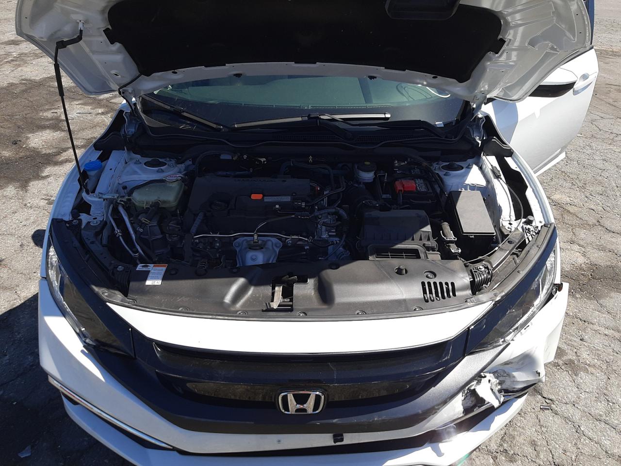 Photo 7 from auction – 2020 HONDA CIVIC LX with VIN 2HGFC2F62LH568342