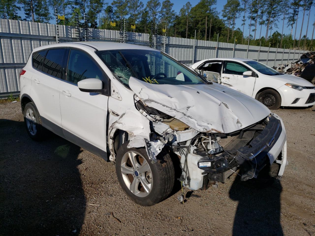 FORD ESCAPE SE 2014 with VIN 1FMCU0G91EUB04806 - Photo from auction