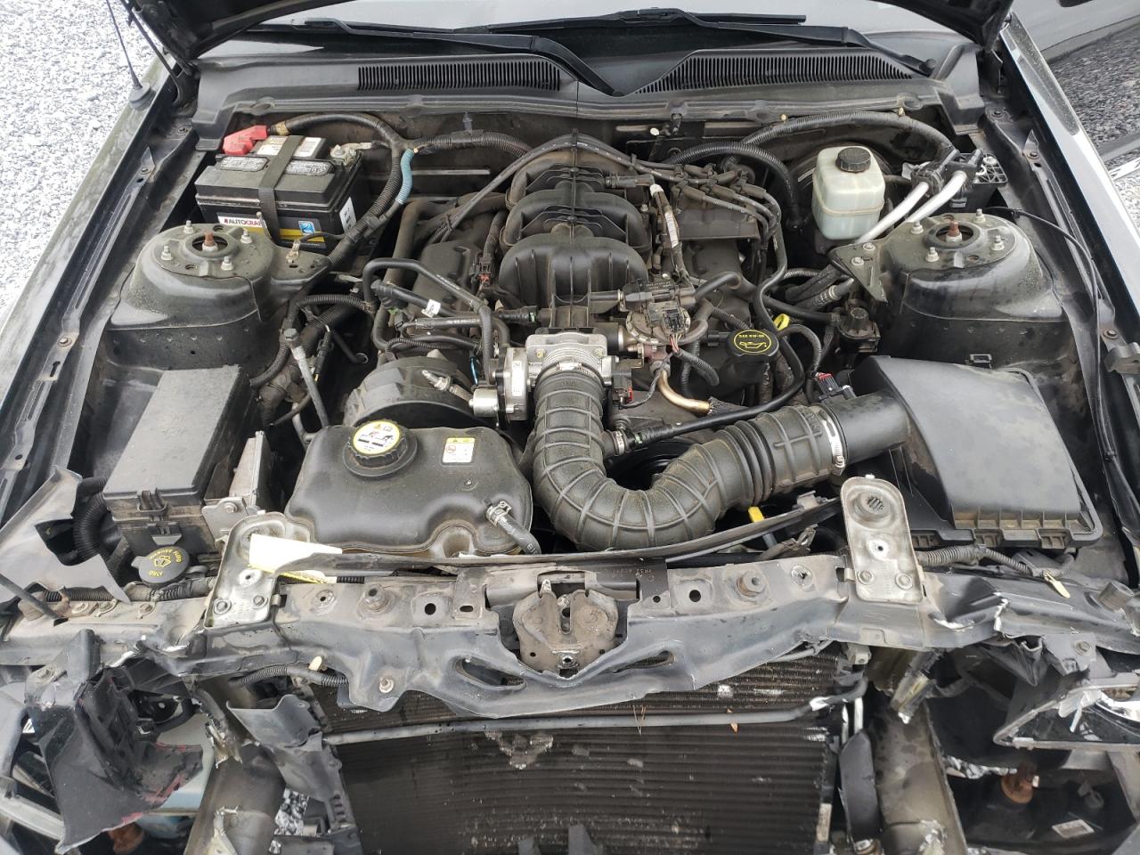 Photo 7 from auction – 2005 FORD MUSTANG with VIN 1ZVFT80N055239874