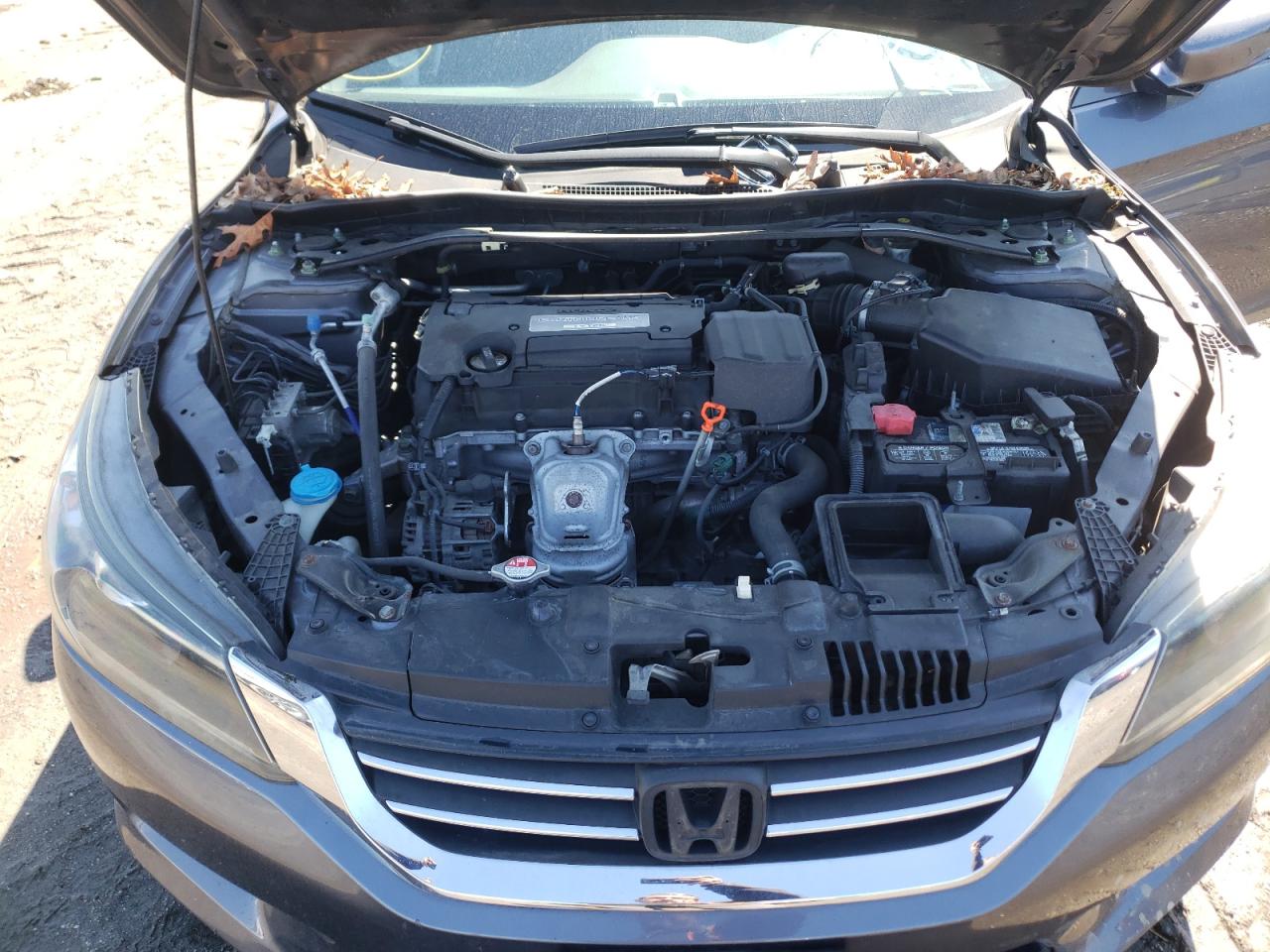 Photo 7 from auction – 2014 HONDA ACCORD EXL with VIN 1HGCR2F86EA079849