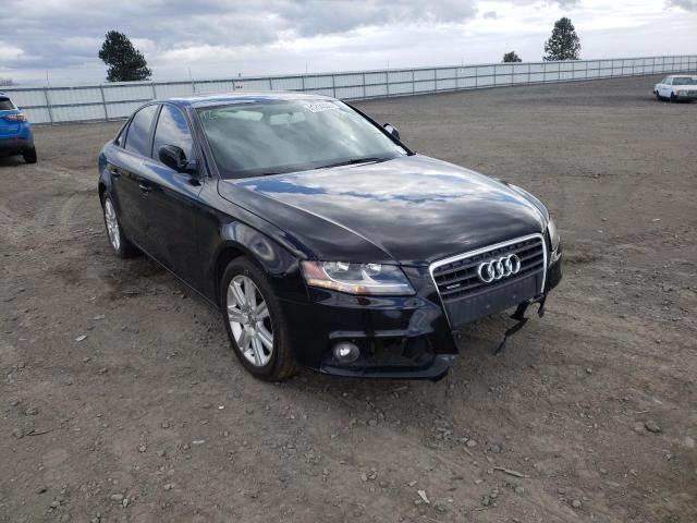 AUDI A4 PREMIUM 2010 with VIN WAUBFAFL1AN063981 - Photo from auction