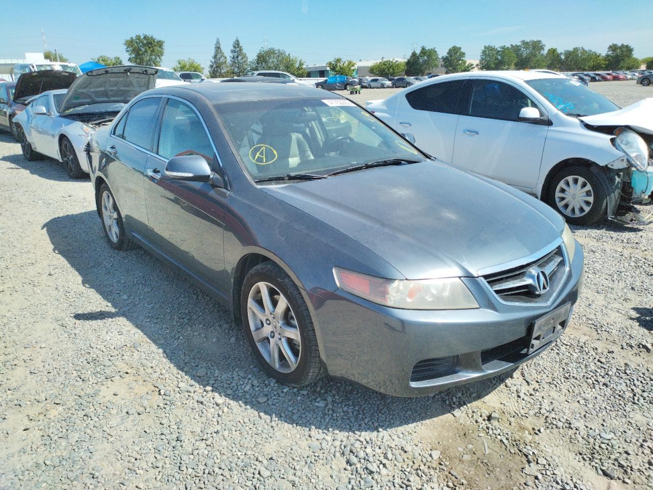ACURA TSX 2005 with VIN JH4CL969X5C019593 - Photo from auction