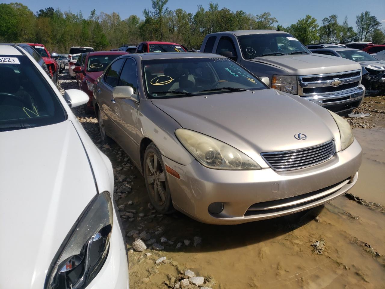 LEXUS ES 330 2005 with VIN JTHBA30G355107704 - Photo from auction