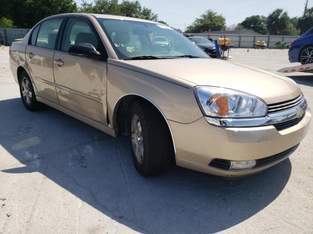 CHEVROLET MALIBU LT 2004 with VIN 1G1ZU54864F245969 - Photo from auction