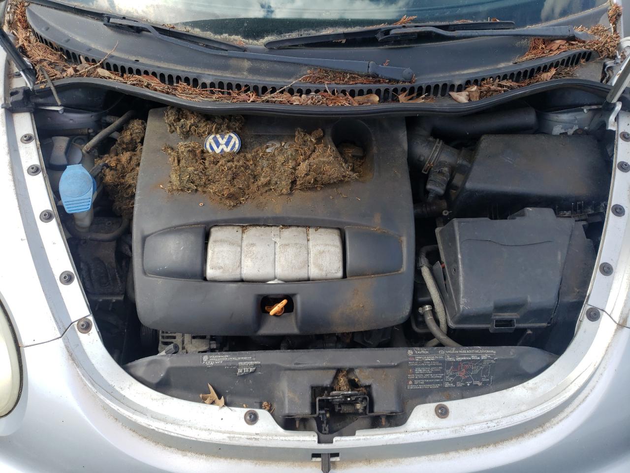 Photo 7 from auction – 2003 VOLKSWAGEN NEW BEETLE with VIN 3VWCK21Y03M304273
