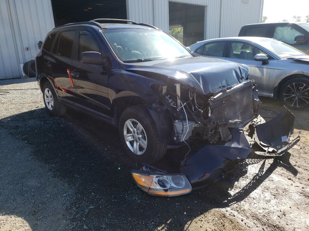 HYUNDAI SANTA FE G 2009 with VIN 5NMSG13DX9H316575 - Photo from auction