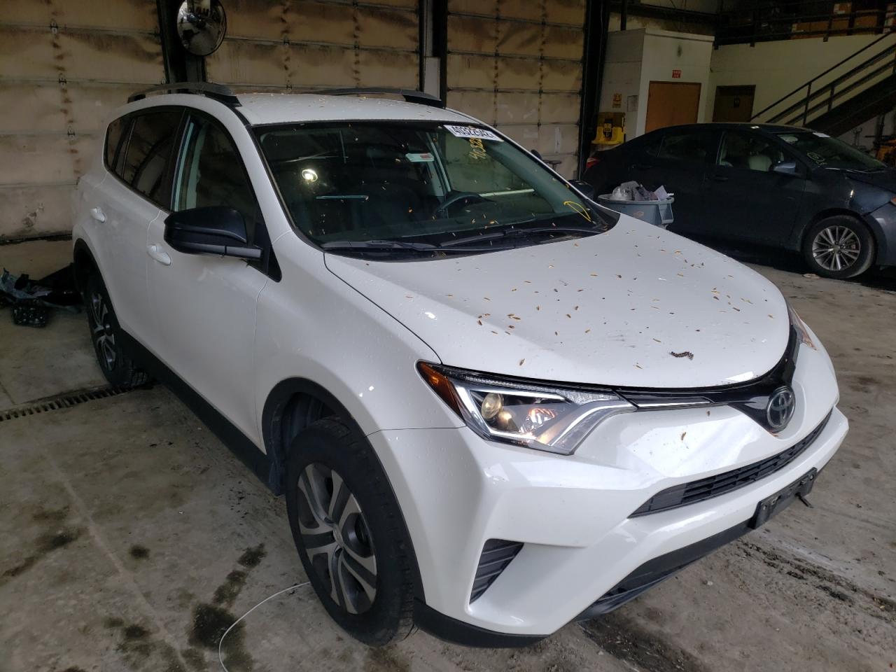 TOYOTA RAV4 LE 2017 with VIN 2T3BFREV6HW551024 - Photo from auction