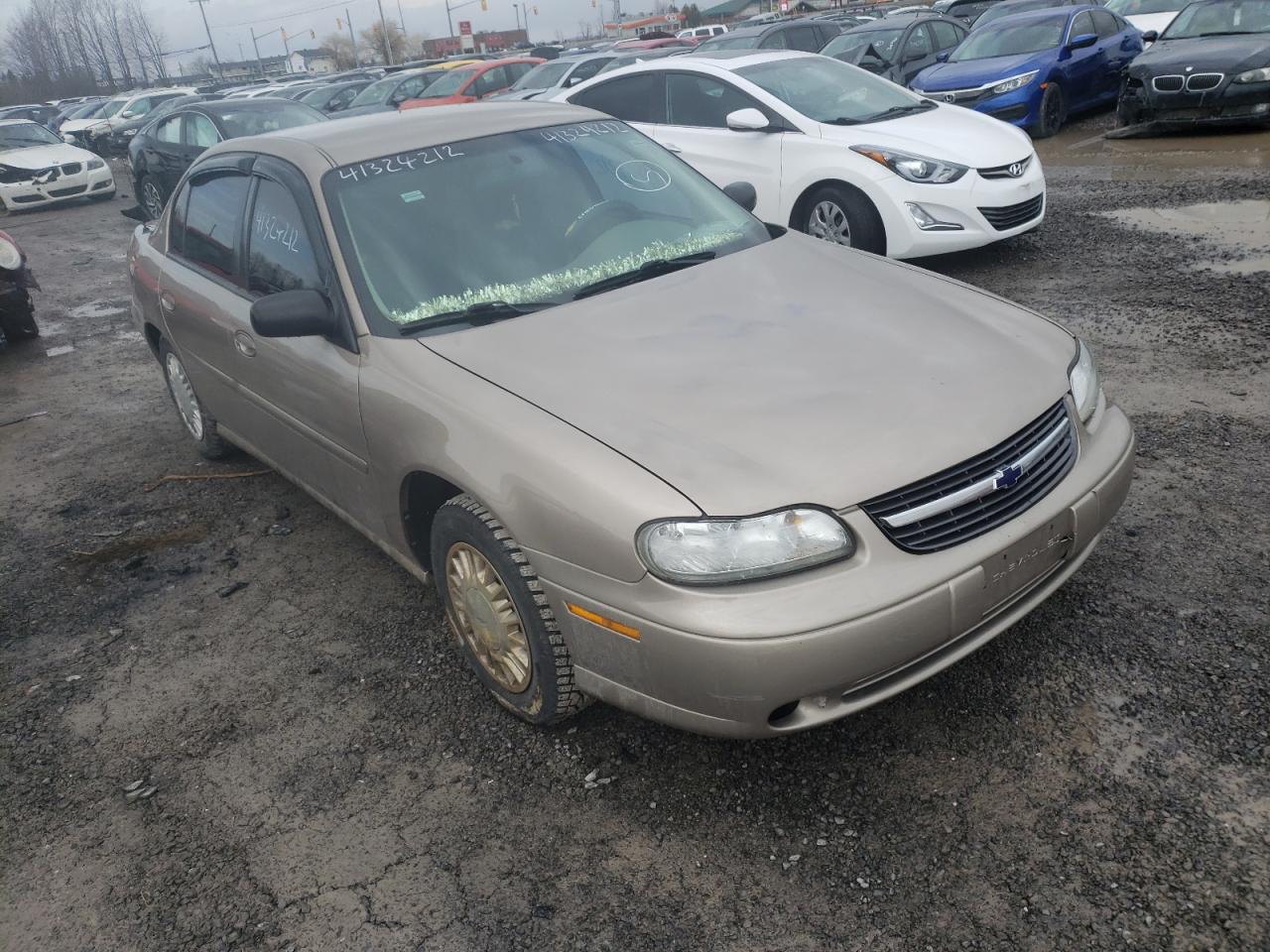 CHEVROLET MALIBU 2000 with VIN 1G1ND52J5Y6160292 - Photo from auction