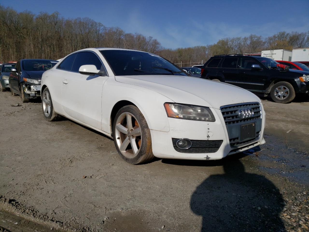 AUDI A5 PREMIUM 2010 with VIN WAULFAFRXAA041929 - Photo from auction