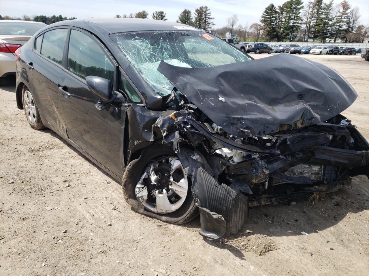 KIA FORTE LX 2017 with VIN 3KPFK4A72HE089399 - Photo from auction