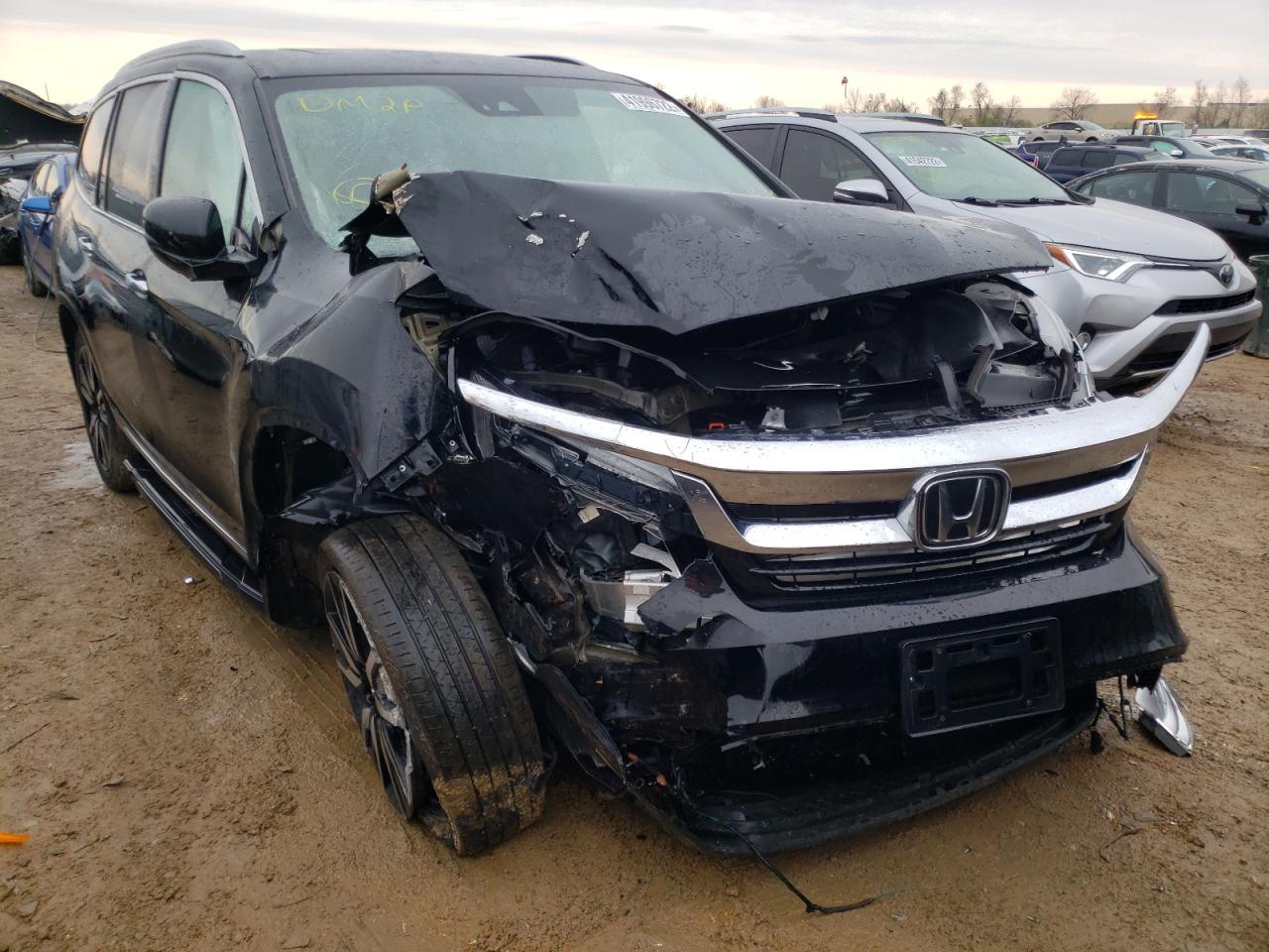 HONDA PILOT ELIT 2019 with VIN 5FNYF6H05KB007247 - Photo from auction