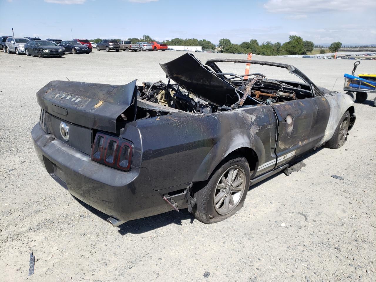Photo 4 from auction – 2008 FORD MUSTANG with VIN 1ZVHT84N085188237