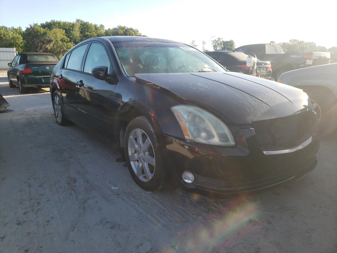 NISSAN MAXIMA SE 2006 with VIN 1N4BA41E76C832181 - Photo from auction