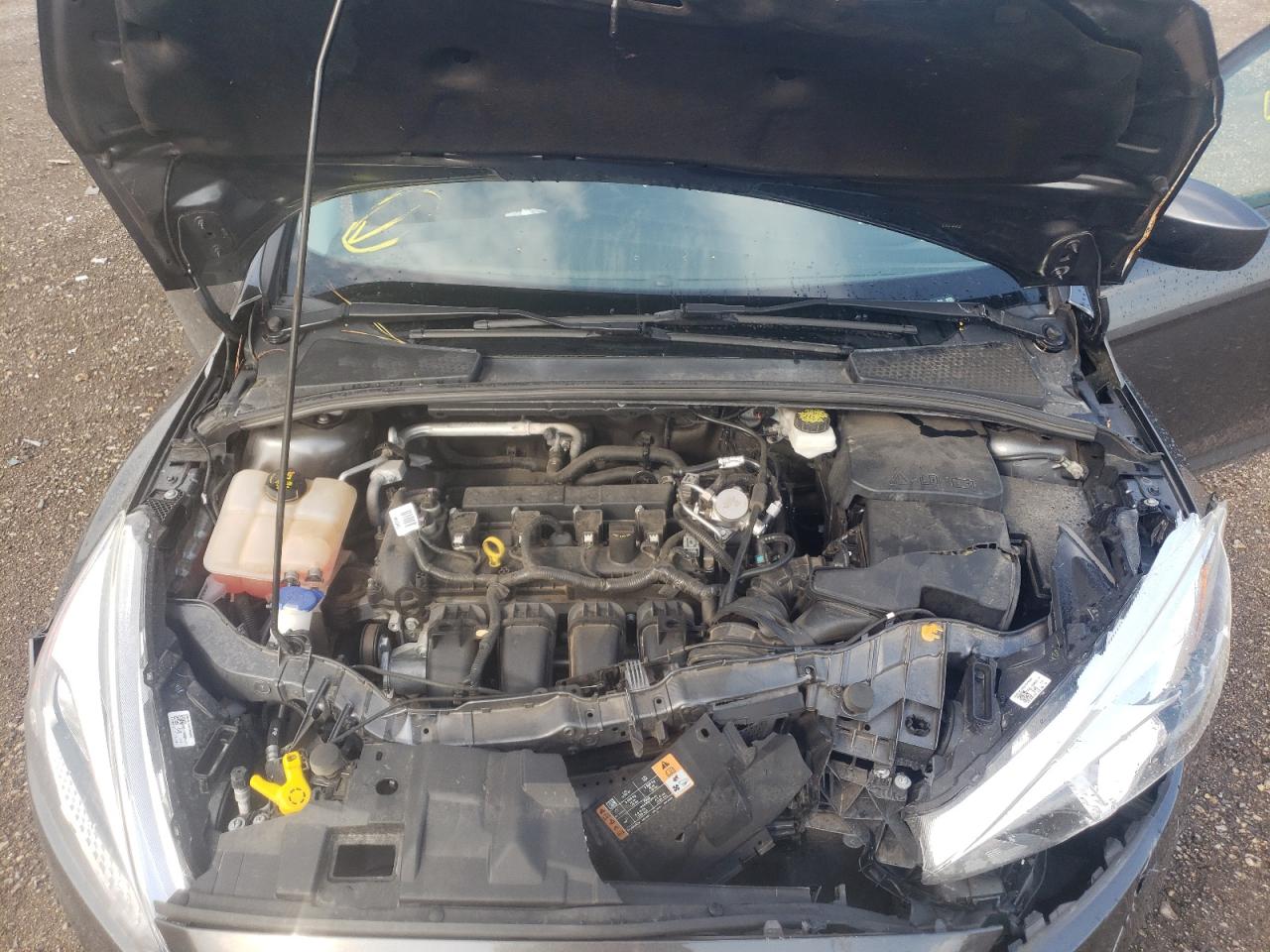 Photo 7 from auction – 2018 FORD FOCUS SE with VIN 1FADP3K21JL220492