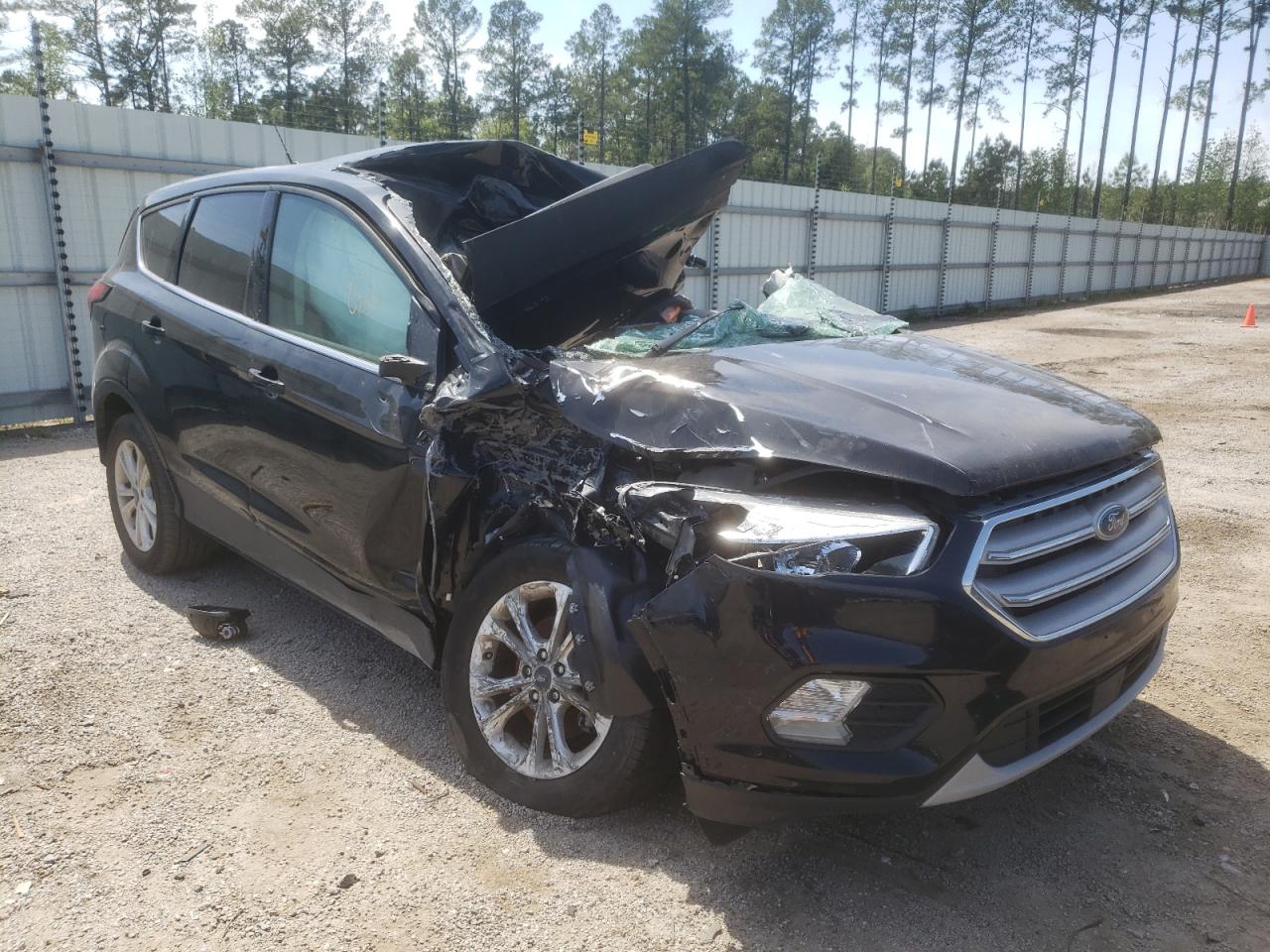 FORD ESCAPE SE 2019 with VIN 1FMCU0GD1KUB81787 - Photo from auction