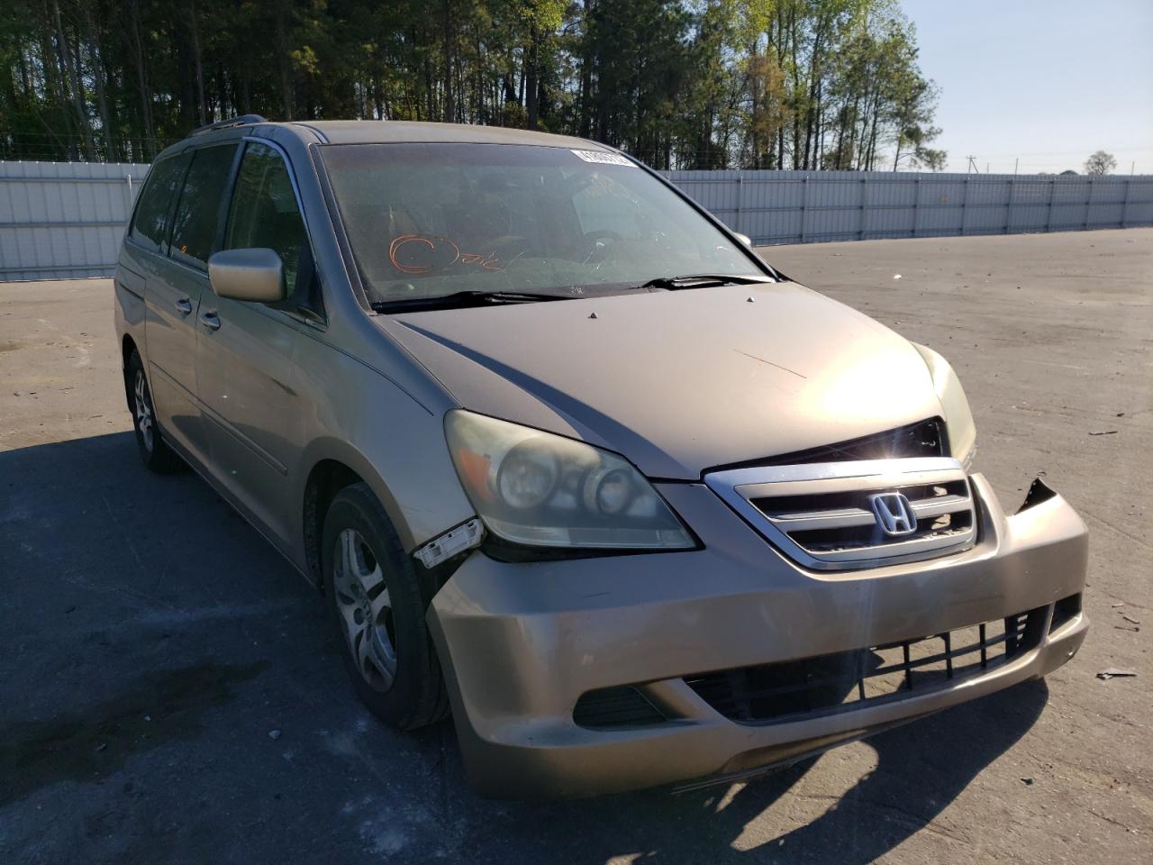 HONDA ODYSSEY EX 2005 with VIN 5FNRL38465B019264 - Photo from auction