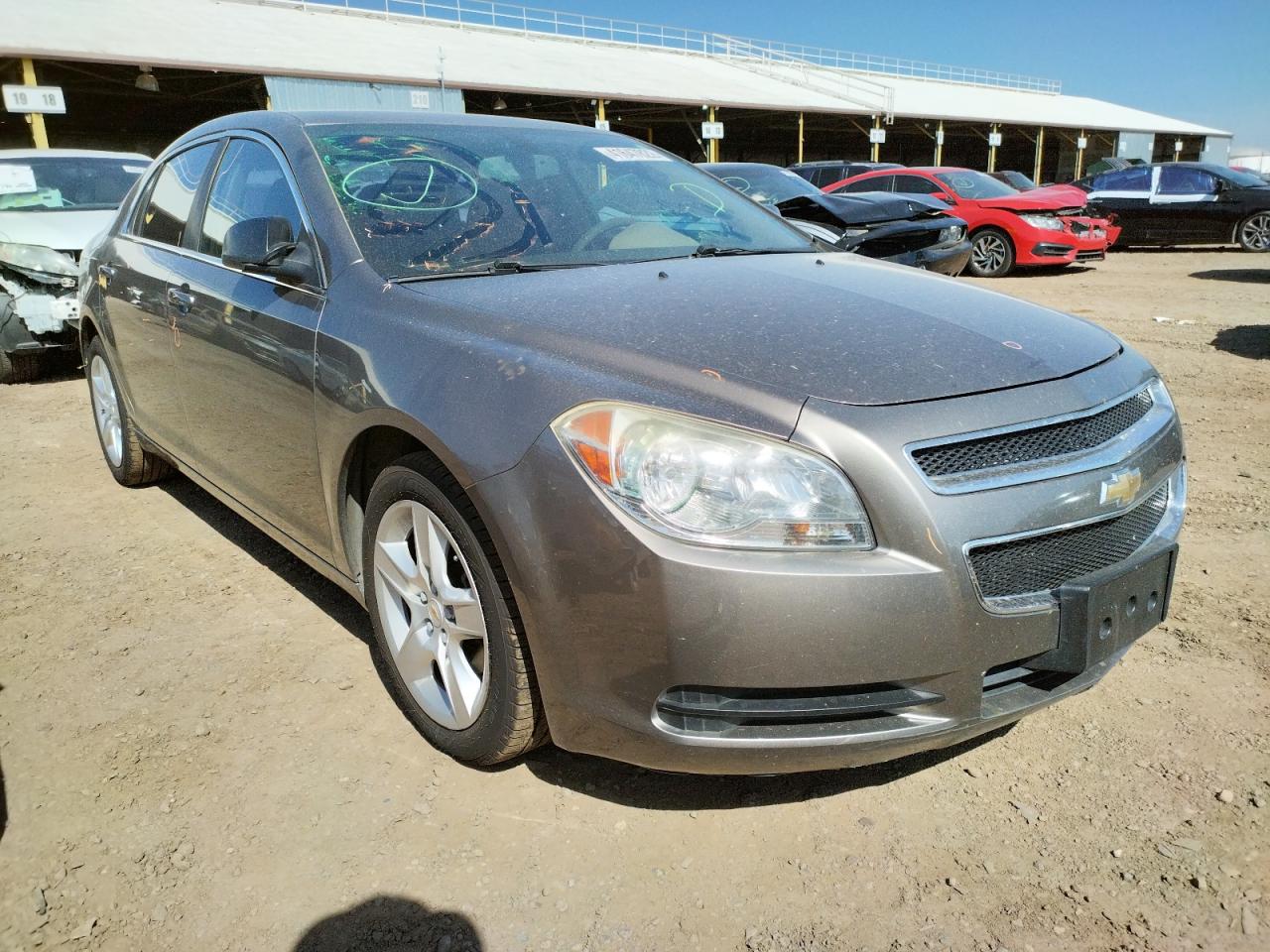 CHEVROLET MALIBU LS 2011 with VIN 1G1ZB5E10BF324431 - Photo from auction