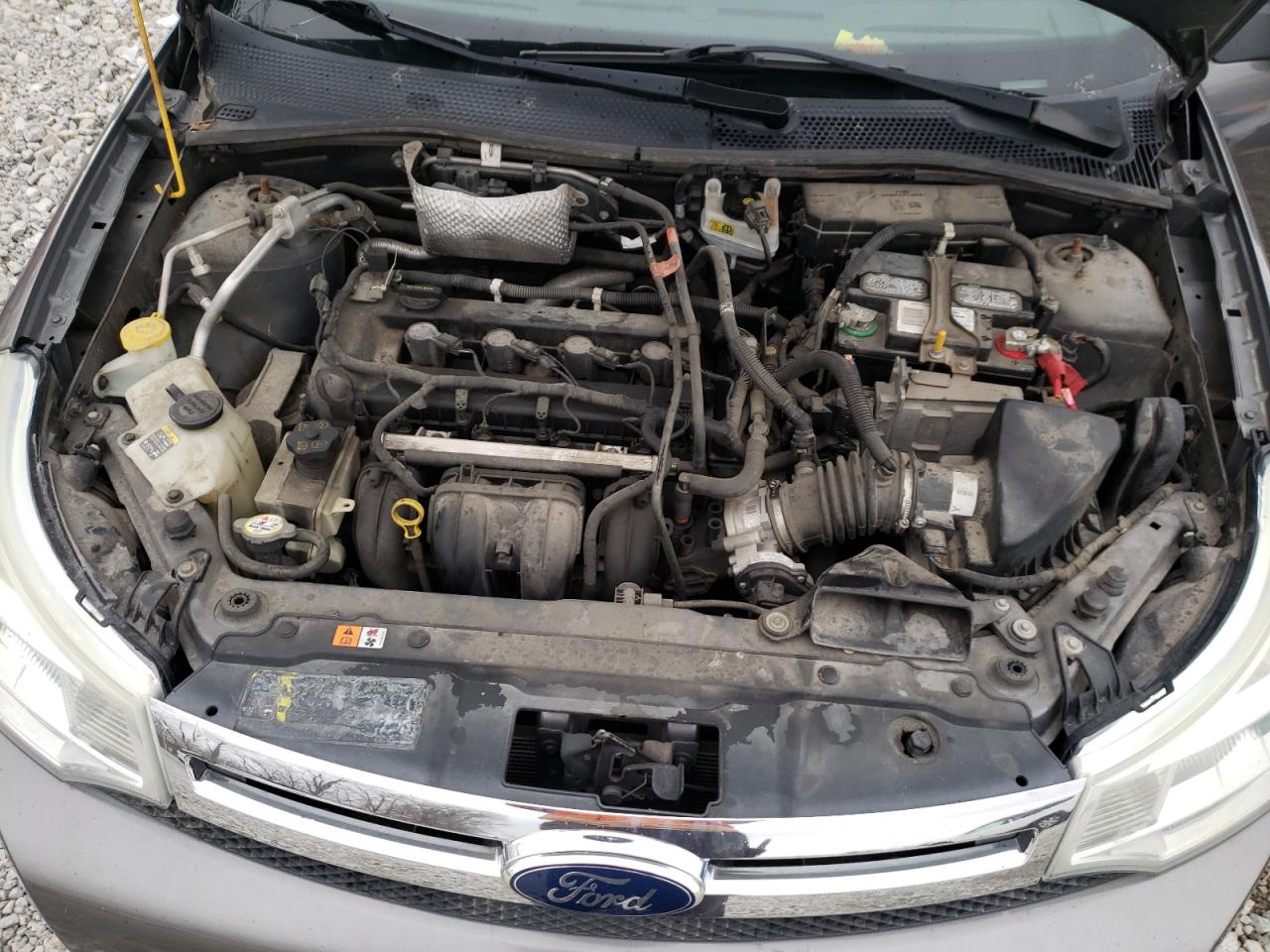 Photo 7 from auction – 2010 FORD FOCUS SE with VIN 1FAHP3FN9AW155525