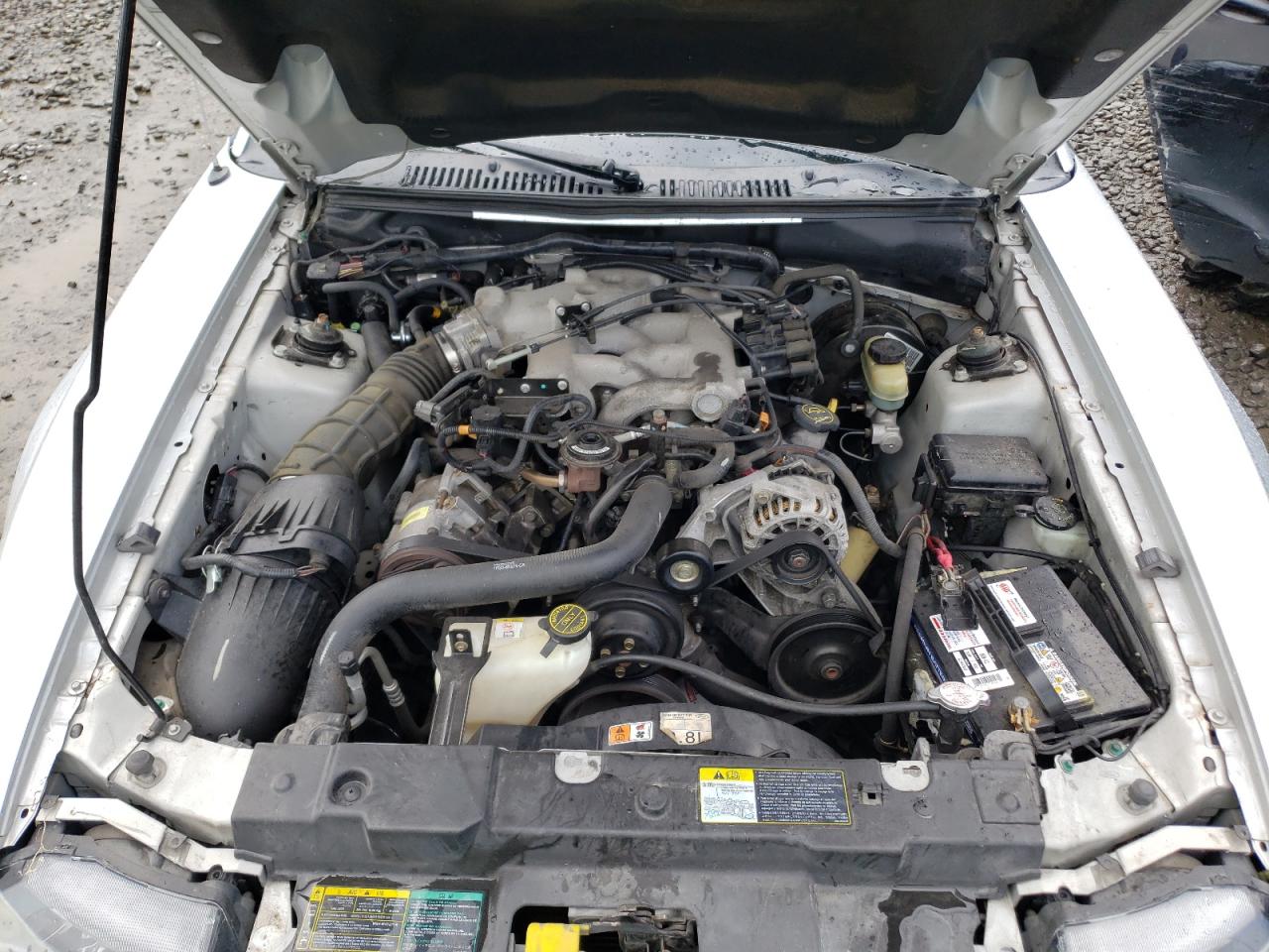 Photo 7 from auction – 2003 FORD MUSTANG with VIN 1FAFP44473F405175