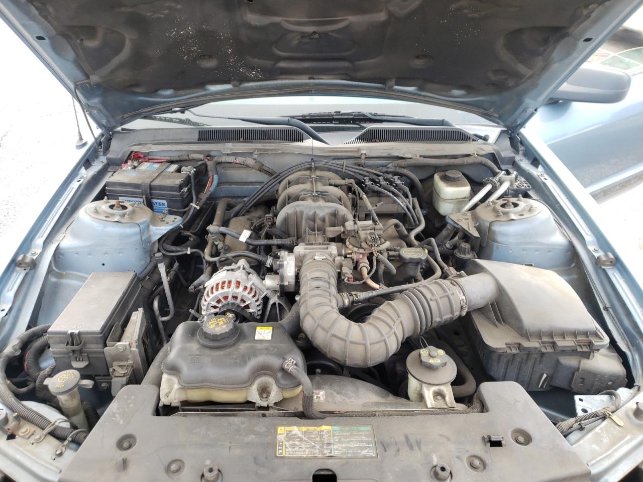 Photo 7 from auction – 2006 FORD MUSTANG with VIN 1ZVFT80N165182733