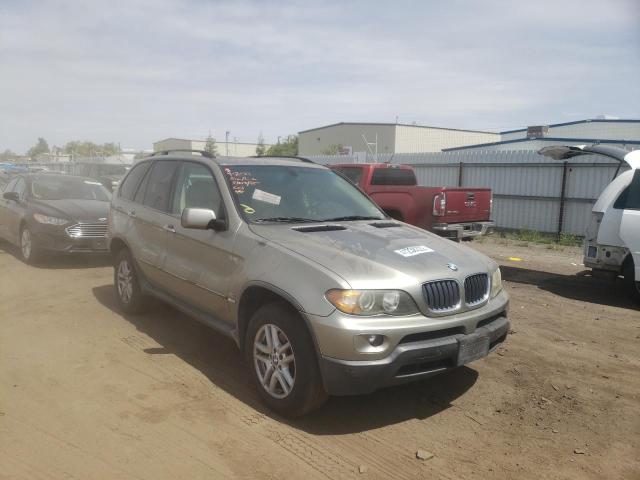 BMW X5 3.0I 2005 with VIN 5UXFA13545LY11051 - Photo from auction
