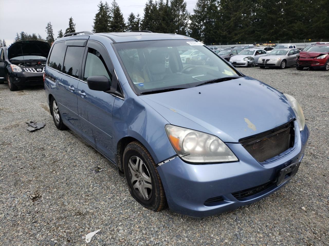 HONDA ODYSSEY EX 2007 with VIN 5FNRL38737B019686 - Photo from auction