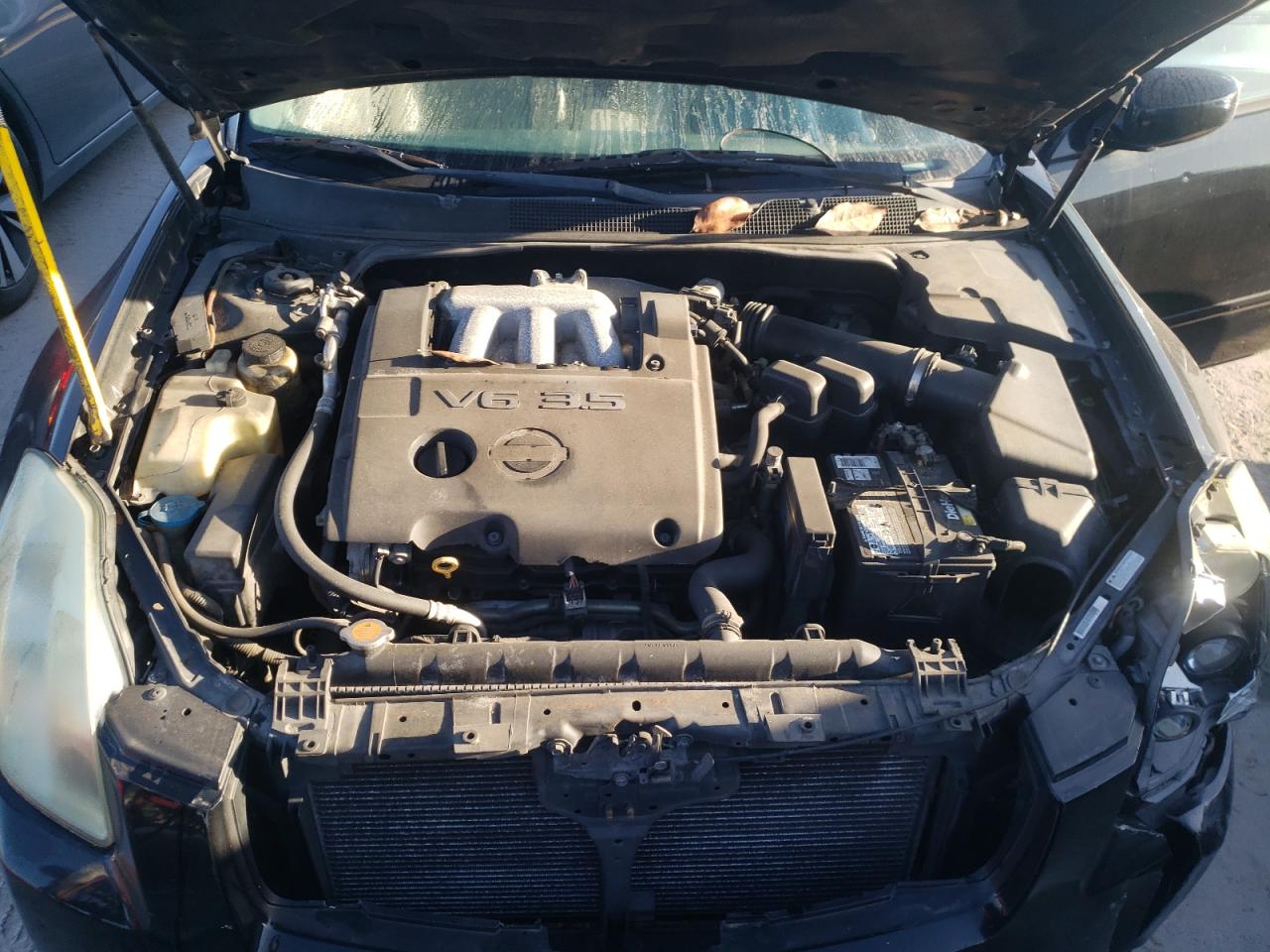 Photo 7 from auction – 2006 NISSAN MAXIMA SE with VIN 1N4BA41E76C832181