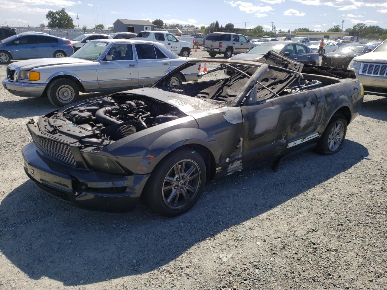 Photo 2 from auction – 2008 FORD MUSTANG with VIN 1ZVHT84N085188237