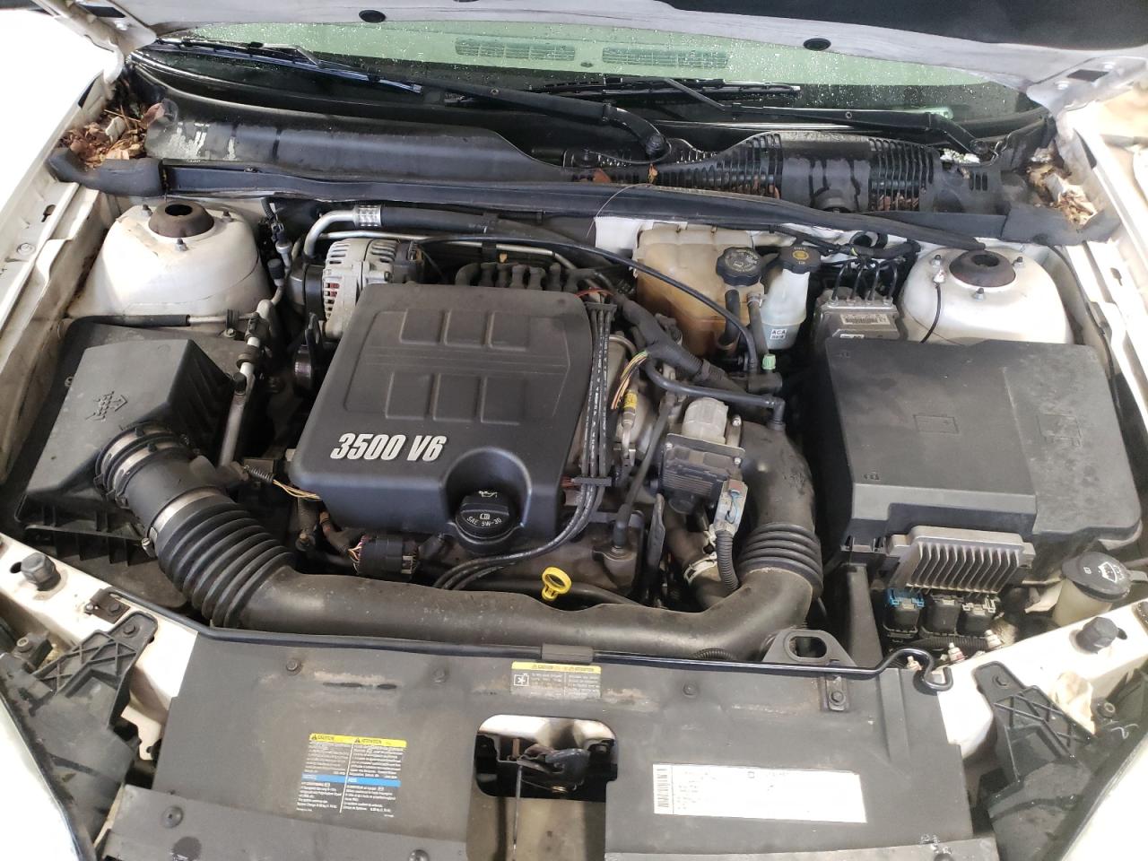 Photo 7 from auction – 2005 CHEVROLET MALIBU LS with VIN 1G1ZT52835F309103