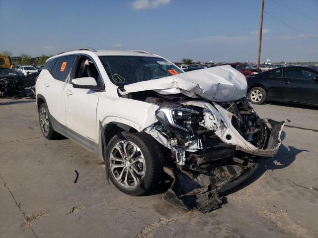 GMC TERRAIN SL 2019 with VIN 3GKALVEV3KL175091 - Photo from auction