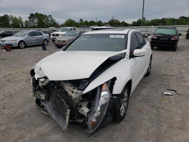 Photo 2 from auction – 2010 HONDA ACCORD EXL with VIN 1HGCP2F83AA036764
