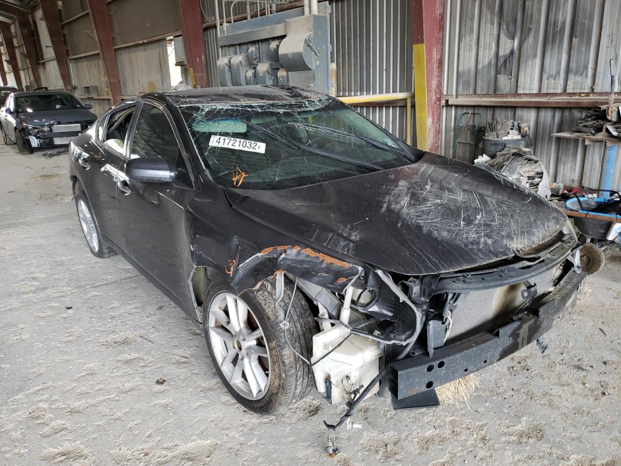 NISSAN MAXIMA S 2009 with VIN 1N4AA51E89C838593 - Photo from auction