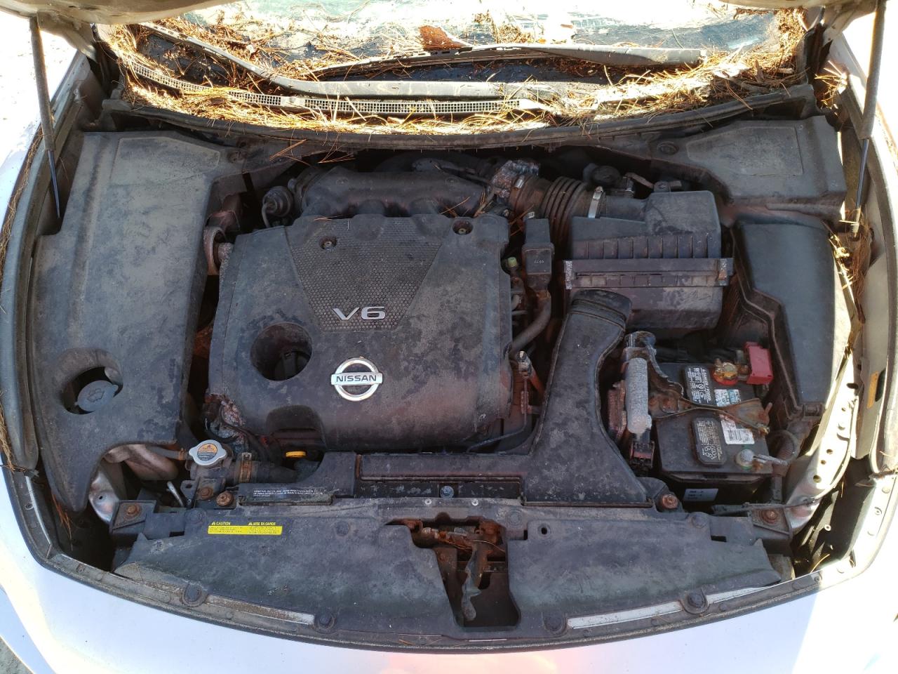 Photo 7 from auction – 2010 NISSAN MAXIMA with VIN 1N4AA5AP8AC820021