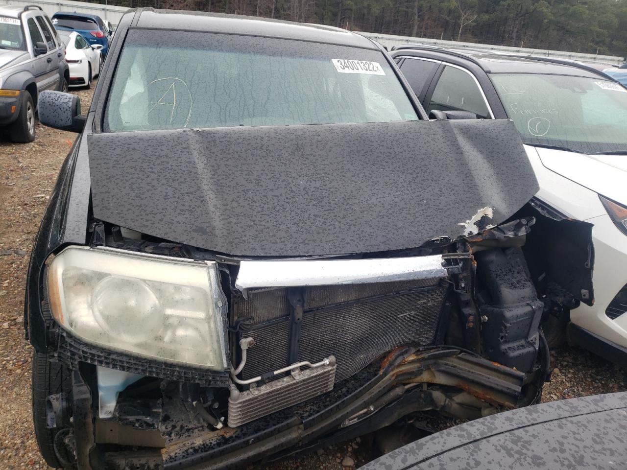 Photo 7 from auction – 2009 HONDA PILOT LX with VIN 5FNYF48289B052554